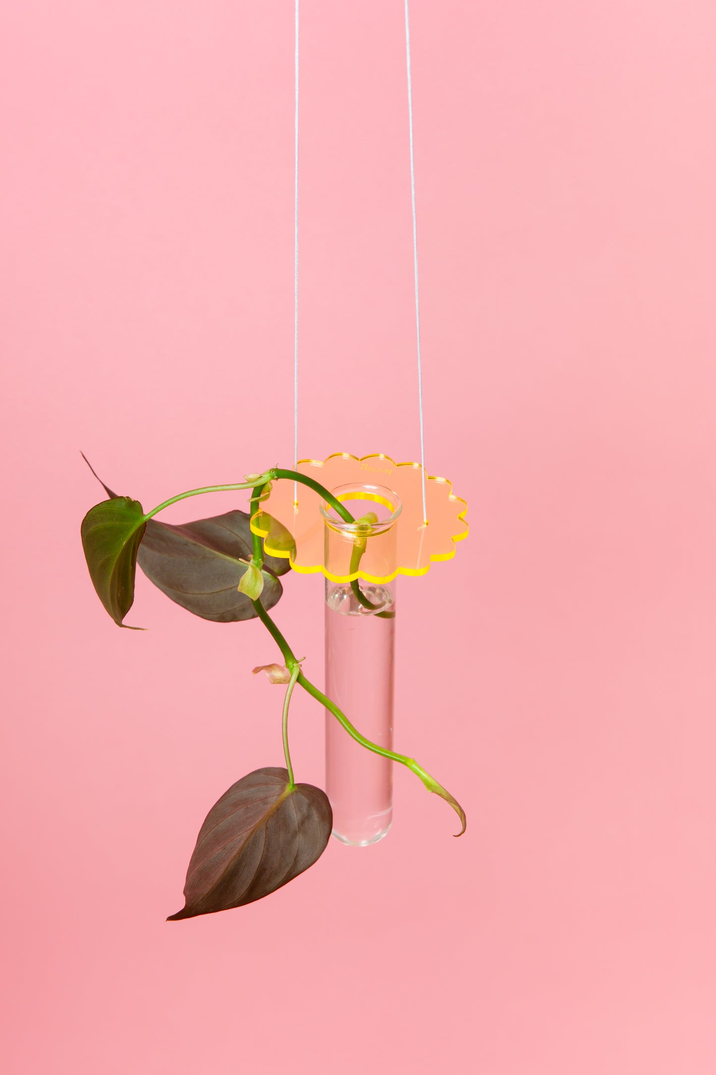 Acrylic Prop Drop - Coloured Frill Fluro Orange