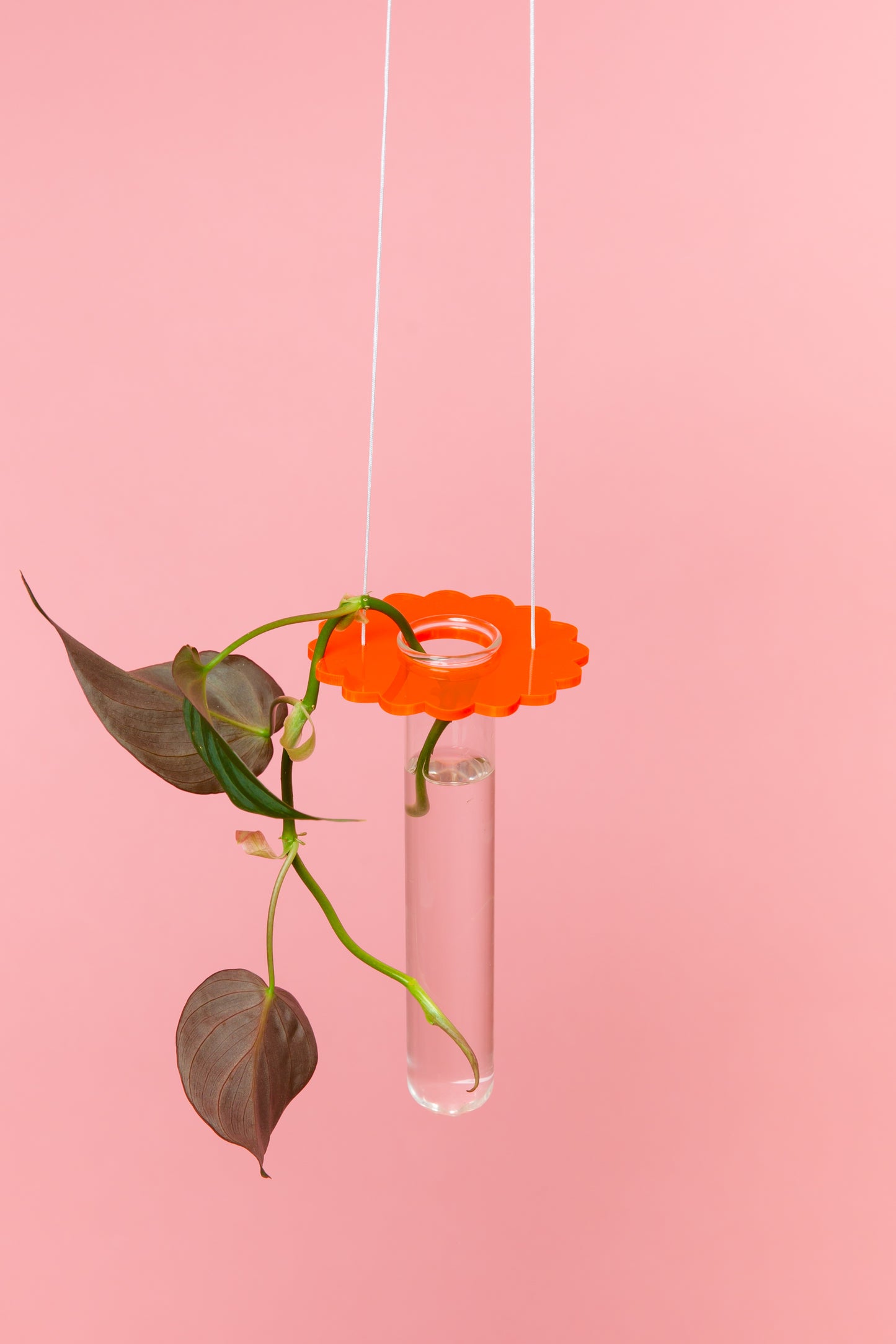 Acrylic Prop Drop - Coloured