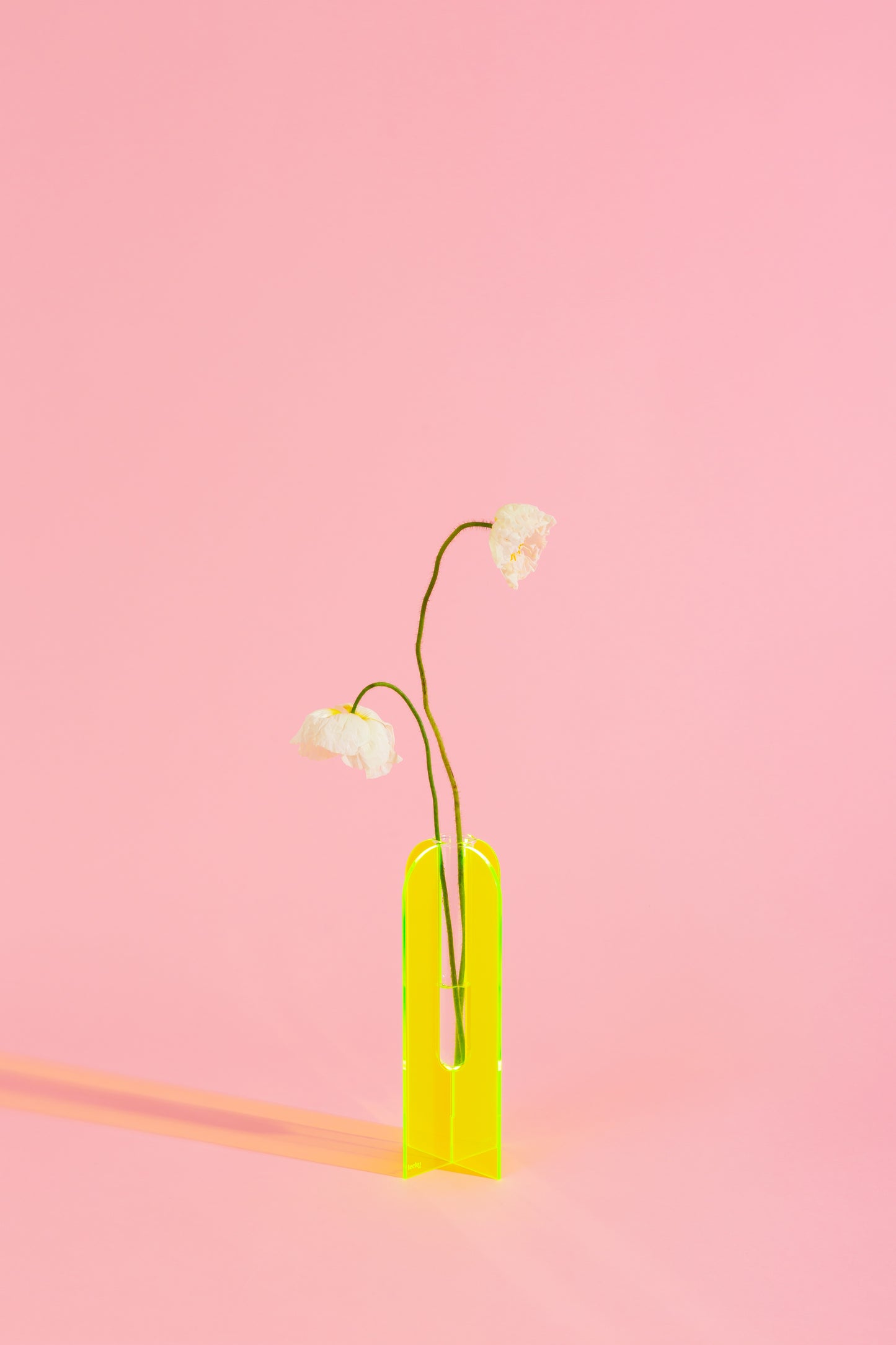 Acrylic Stem Vase - Coloured
