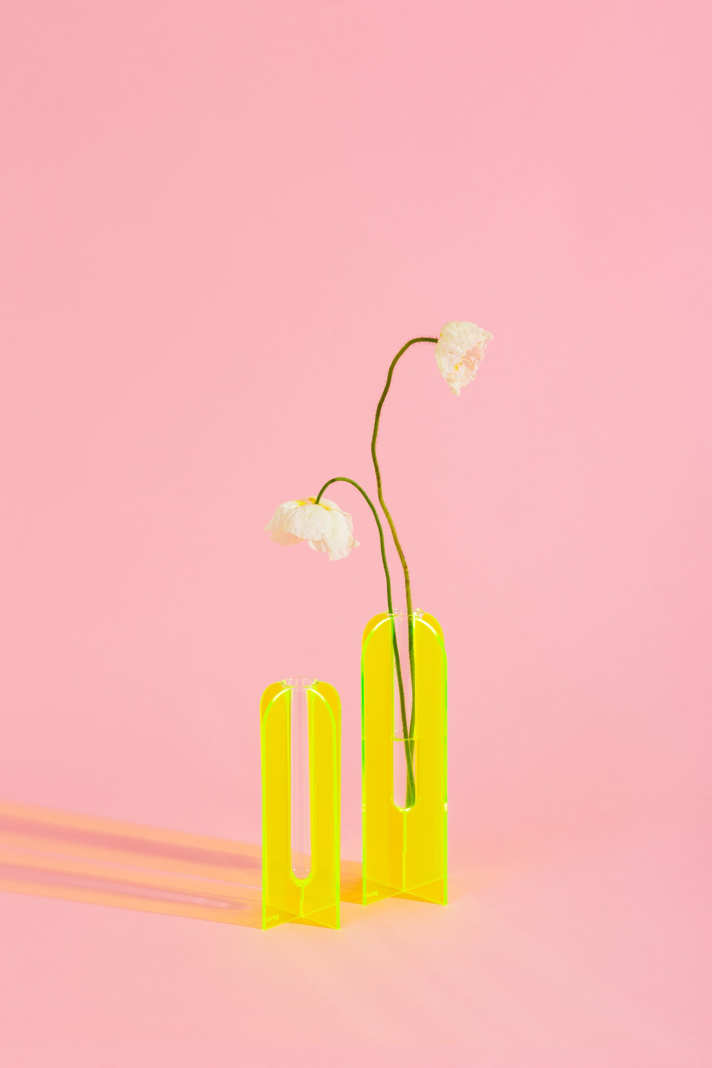 Acrylic Stem Vase - Coloured