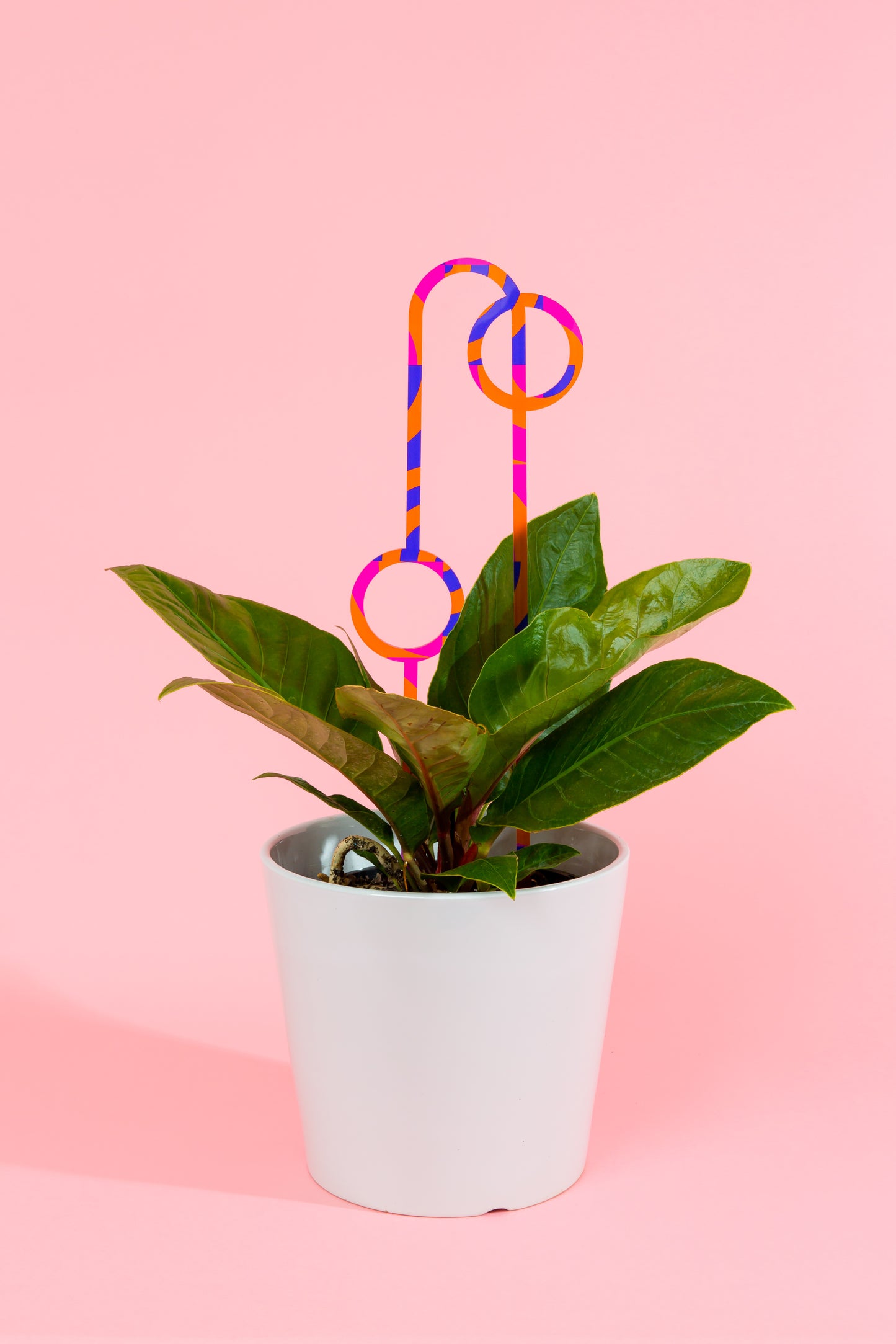 Acrylic Plant Stake 1 - Printed Large Blue, Orange & Magenta Swirl