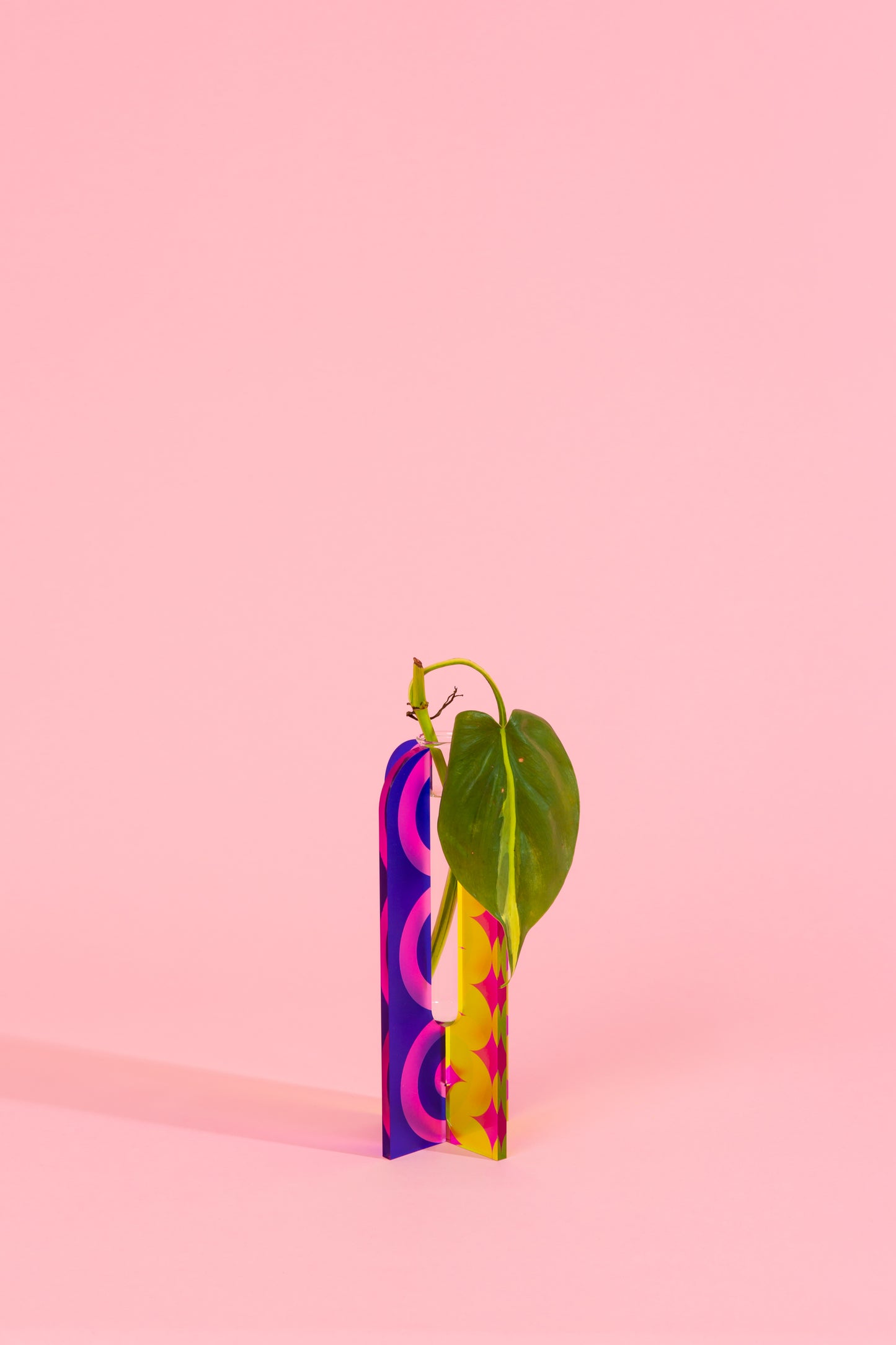 Acrylic Stem Vase - Printed Bright Squiggle & Curve